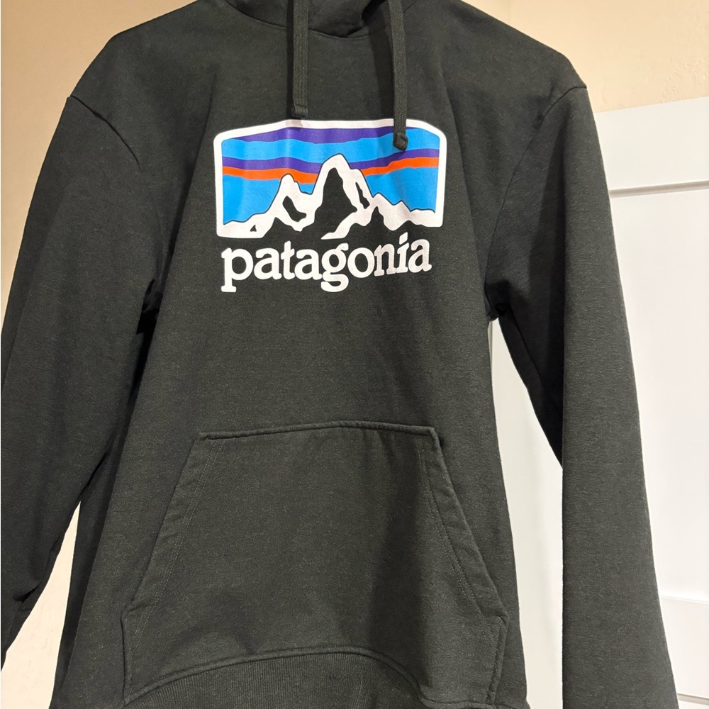 Patagonia Black Hoodie with Multicolor Mountain Logo